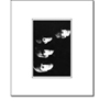 BEATLES (4 FACES WHITE) Matte Print