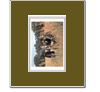 BEATLES (IN FIELD) Matte Print