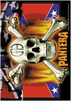 PANTERA (FLAG & SKULL) Flag