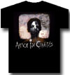 ALICE IN CHAINS (STITCH)