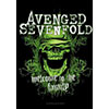 AVENGED SEVENFOLD (WELCOME TO THE FAMILY) Flag