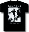 BAUHAUS (BELA)