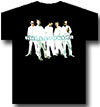 BACKSTREET BOYS (CUT OUT)