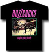 BUZZCOCKS (SINGLES GOING STEADY)