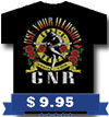 GUNS N ROSES (UYI WORLD TOUR)