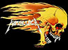 METALLICA (FLAMING SKULL) Flag