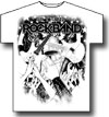ROCKBAND (THE BAND)
