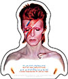 DAVID BOWIE (ALADDIN) Sticker