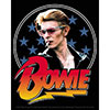 DAVID BOWIE (STARS) Sticker